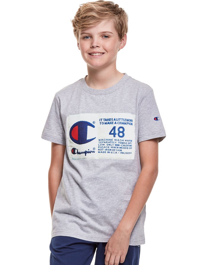 Champion Boys T-Shirt NZ - Cotton Photo-real Jock Tag Grey ( 9570-DTHYM )